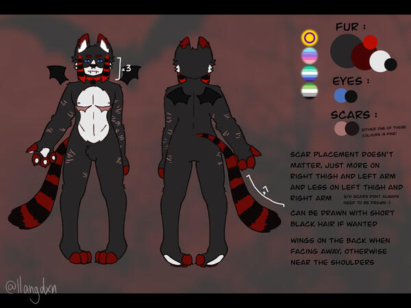 Basic Reference Sheet